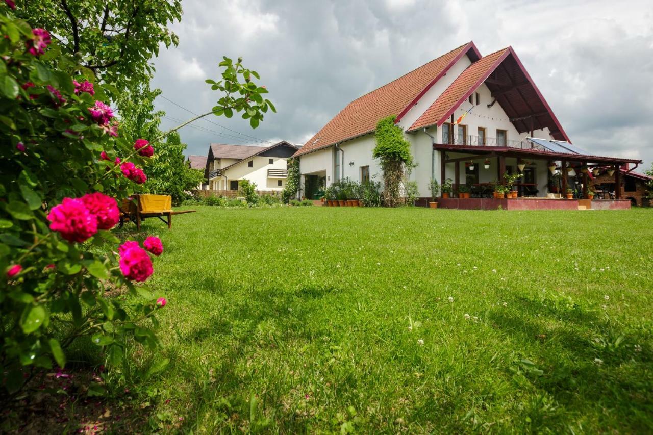 Casa Florilor Hotel Curtea De Arges Luaran gambar