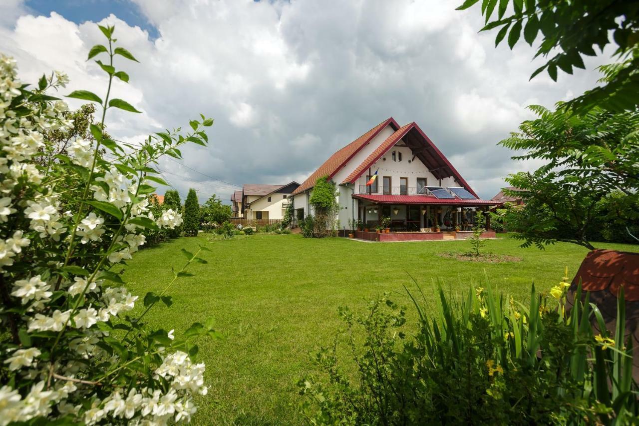 Casa Florilor Hotel Curtea De Arges Luaran gambar