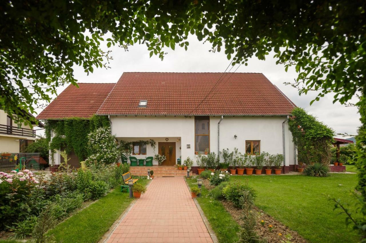 Casa Florilor Hotel Curtea De Arges Luaran gambar